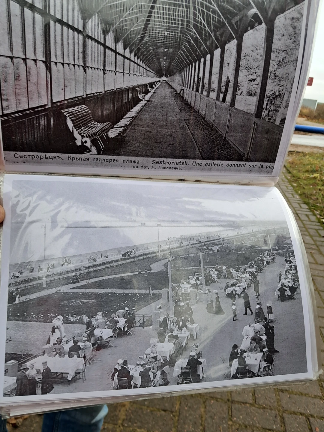 Уютный дачный Сестрорецк (Виолетта)