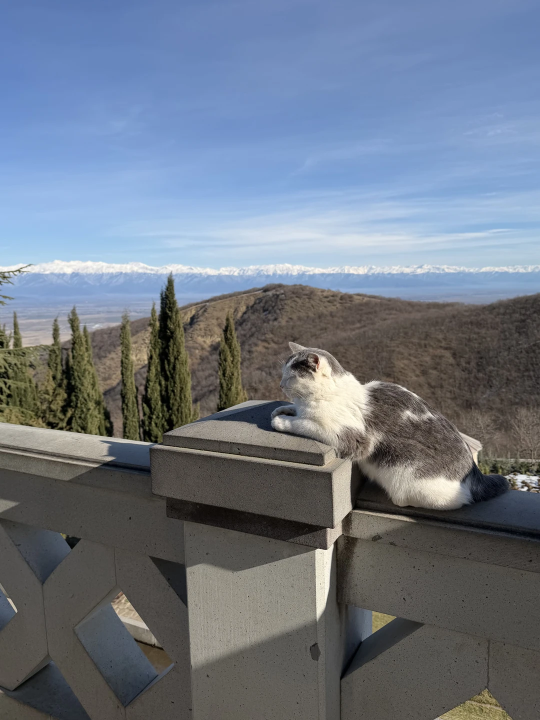 Две Кахетии за 1 день: пещерный монастырь Давид-Гареджи, пустыня и город Сигнаги (Мария)