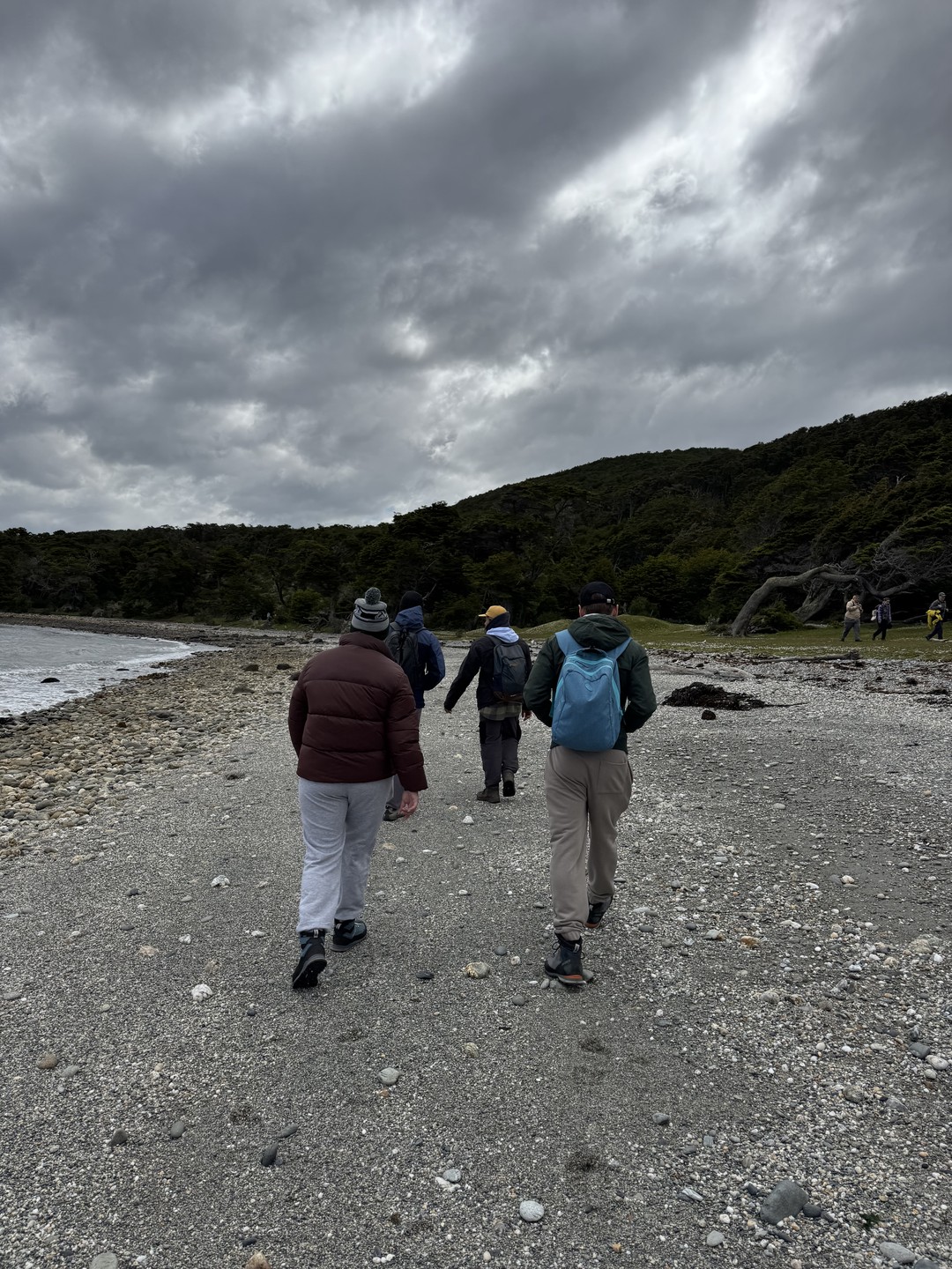 Благодарны Дмитрию за пунктуальность, заинтересованность в нашем комфорте, погружение в красоты Патагонии, внимательность к деталям и