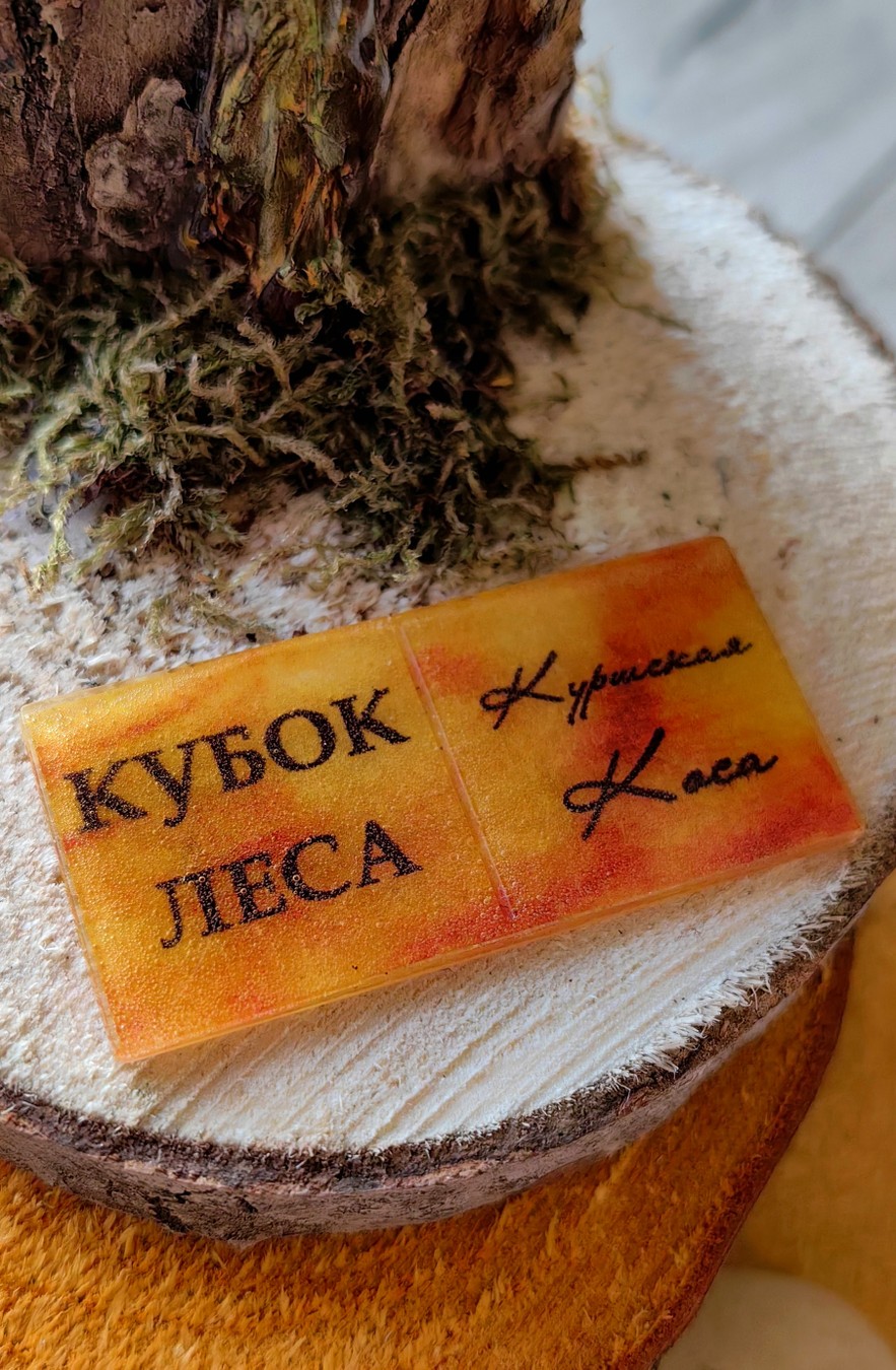 Кубок леса: квест по Куршской Косе