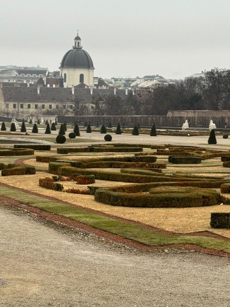 Вчера посещали Вену впервые и обратились к экскурсоводу Виктору, который очень интересно рассказал и показал нам