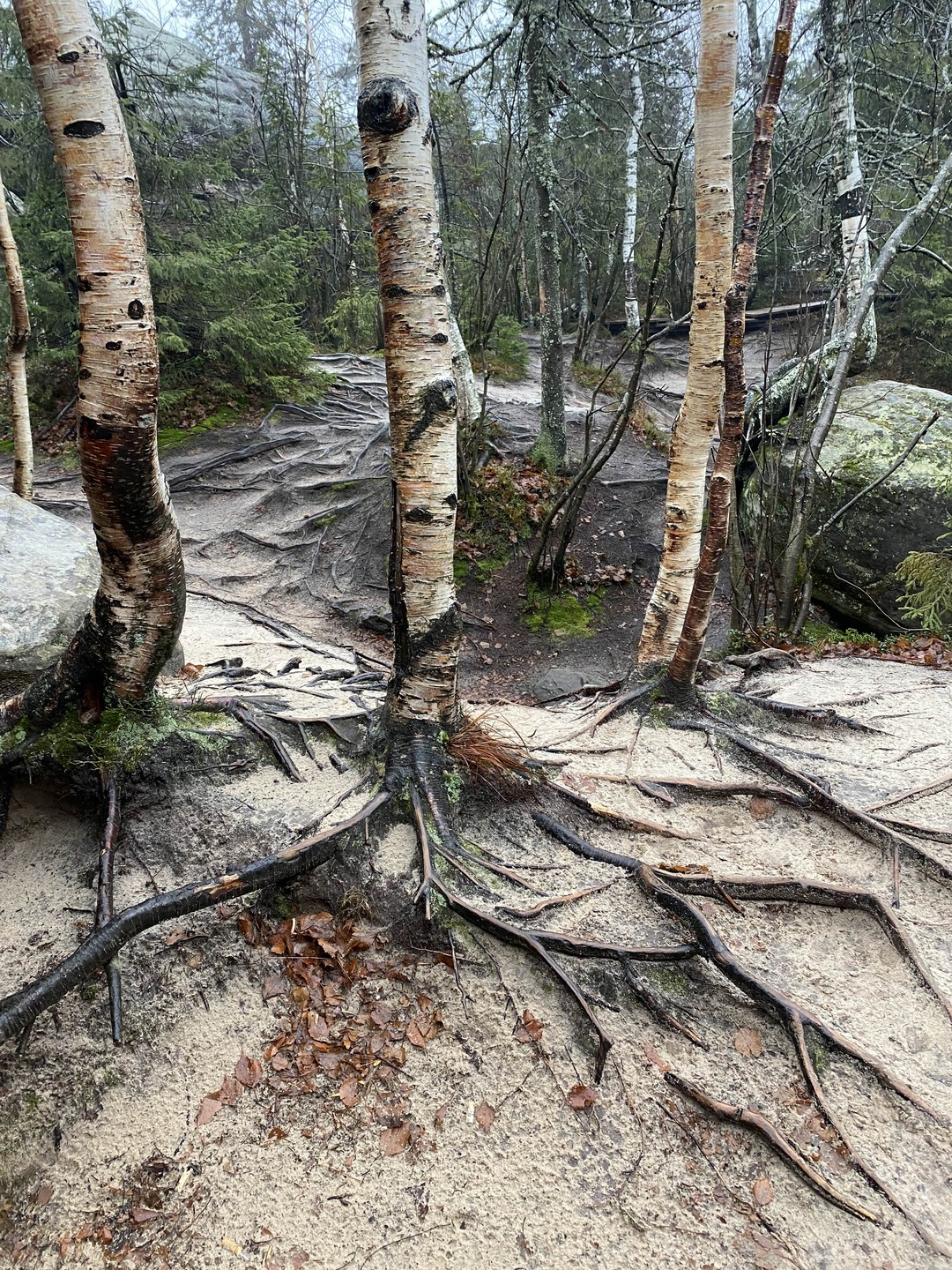 Спасибо самому лучшему,внимательному,интеллектуальному,душевому гиду!!!Алексей,спасибо за эти классные впечатления,не помешала даже погода,она только подчеркнула и обострила восторг