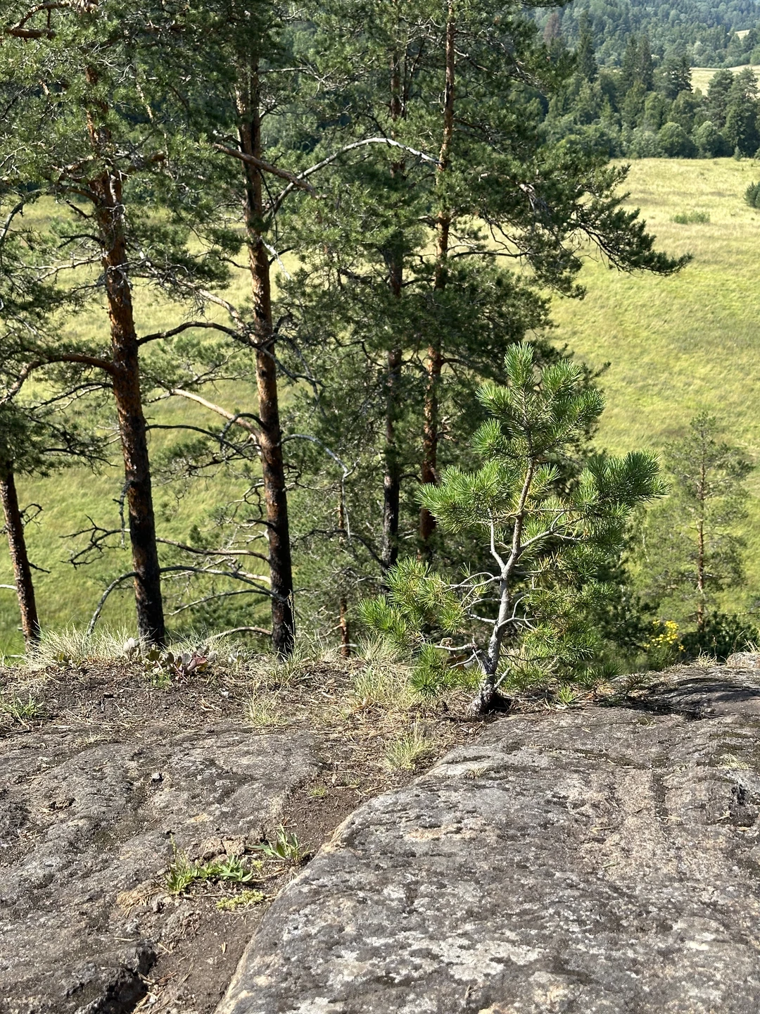 Заказали экскурсию через Трипстер. Сразу пришло подтверждение, внесли предоплату. В сообщении о подтверждении оплаты было указано