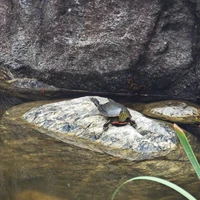 Фото отзыва 3: экскурсия "Гангнам вчера и сегодня"
