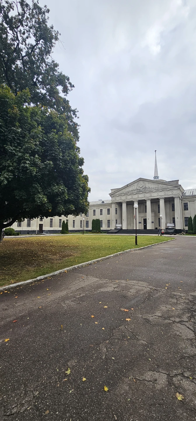Королевский город Гродно (Олеся)