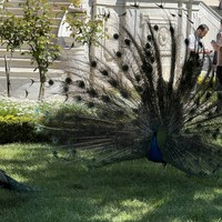 Фото отзыва 1: экскурсия "Стамбул для своих"