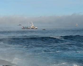 Свободное время или морская прогулка
