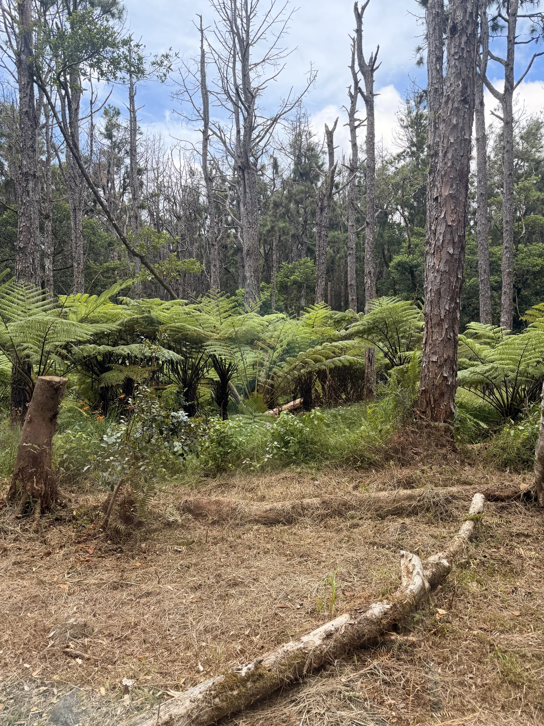 Отличная экскурсия. Дарья - великолепный гид, рассказывала все очень интересно, все локации на экскурсии красивые, никто