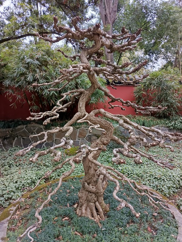 Своей компанией в провинцию Сычуань с комфортом