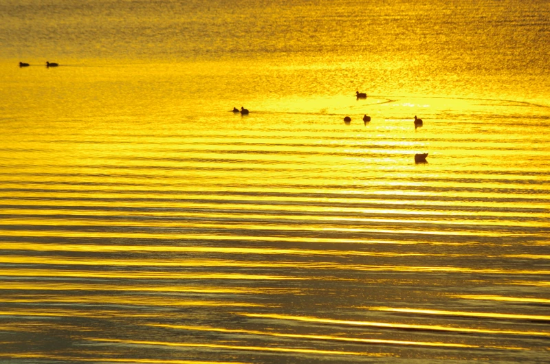 Виды Таинственный Канонерский остров