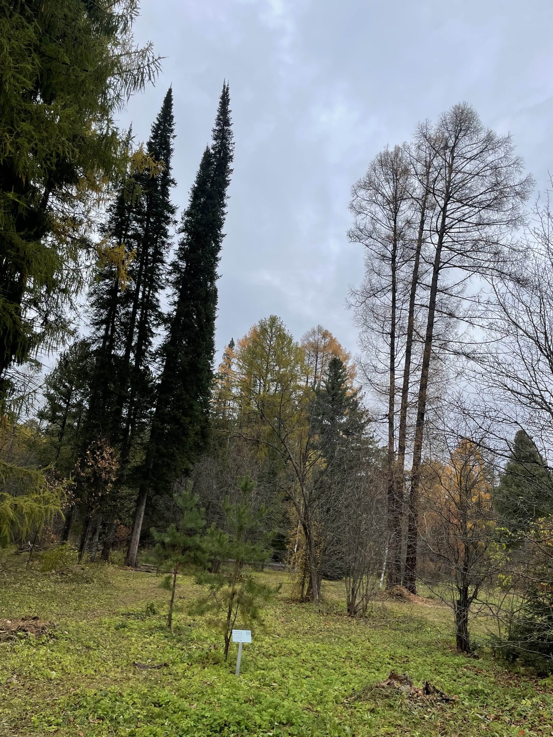 Природные красоты Казани (Замира)