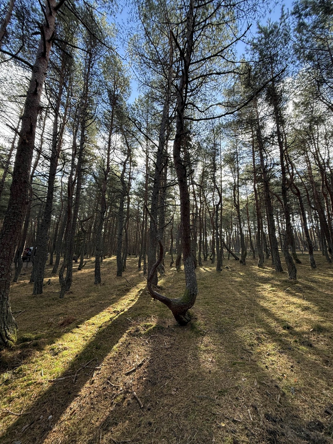 Анна, благодарим Вас за замечательную экскурсию!