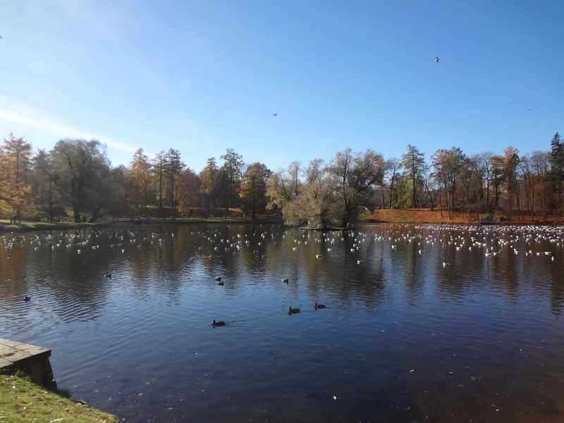 Виды Все парки и замки Гатчины за один день