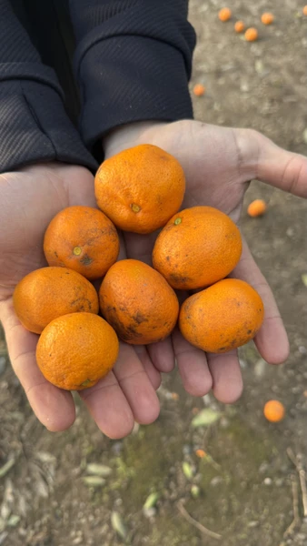 спасибо Славику, это была лучшая экскурсия 🫶🏻 очень душевно и уютно)) нас провезли по очень красивым