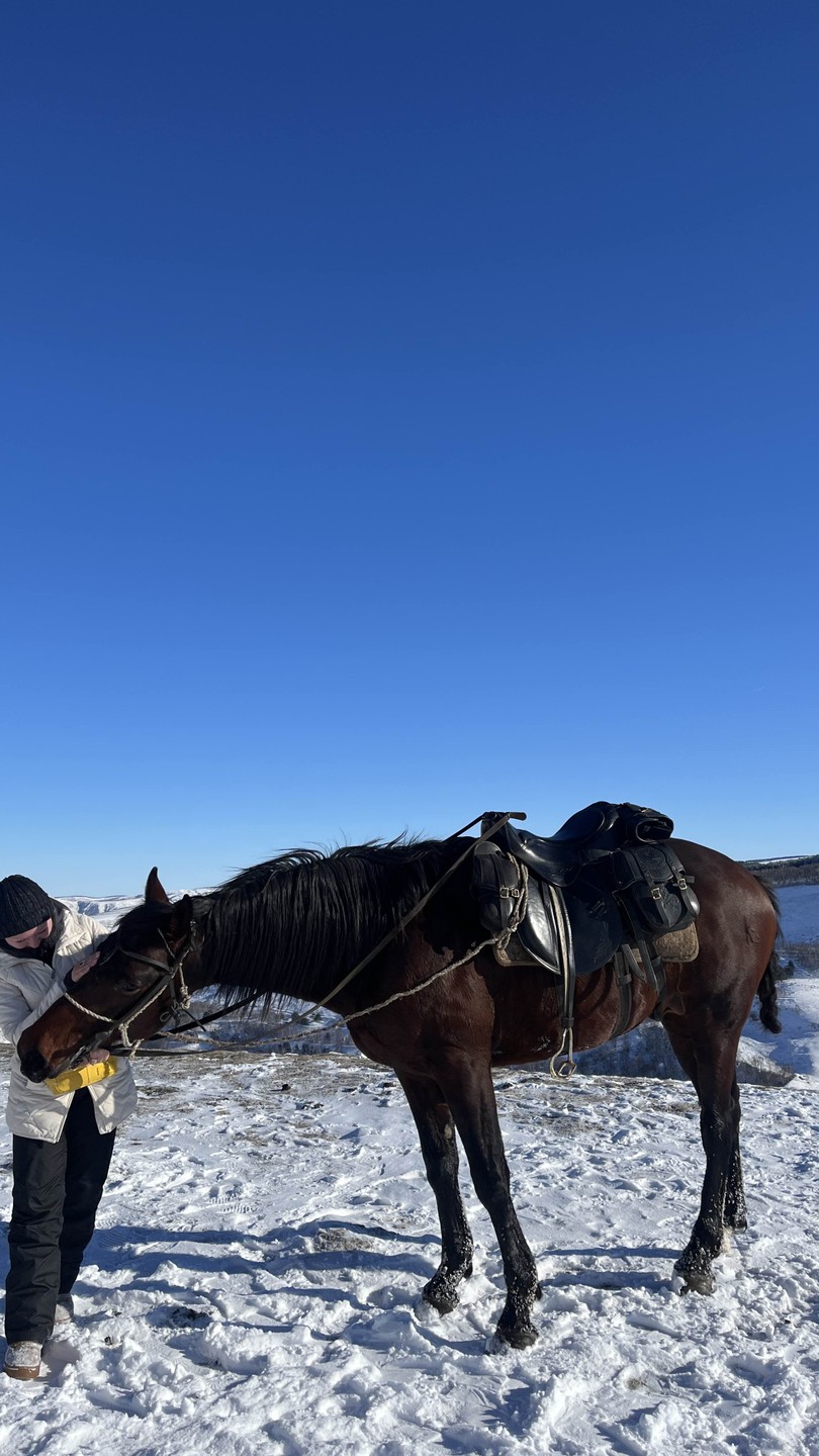 Конная прогулка недалеко от Кисловодска в мини-группе (Олеся)