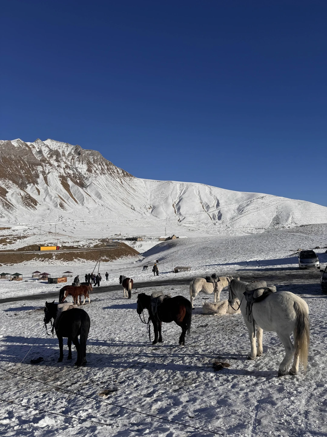 Шикарная экскурсия с прекрасным, тактичным гидом - Тимуром 🙏🏻🤗 Очень познавательная и интересная, безумно красивые локации