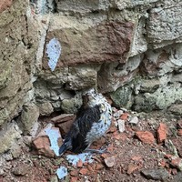 Фото отзыва 3: экскурсия "Путешествие в мир заброшенных усадеб"
