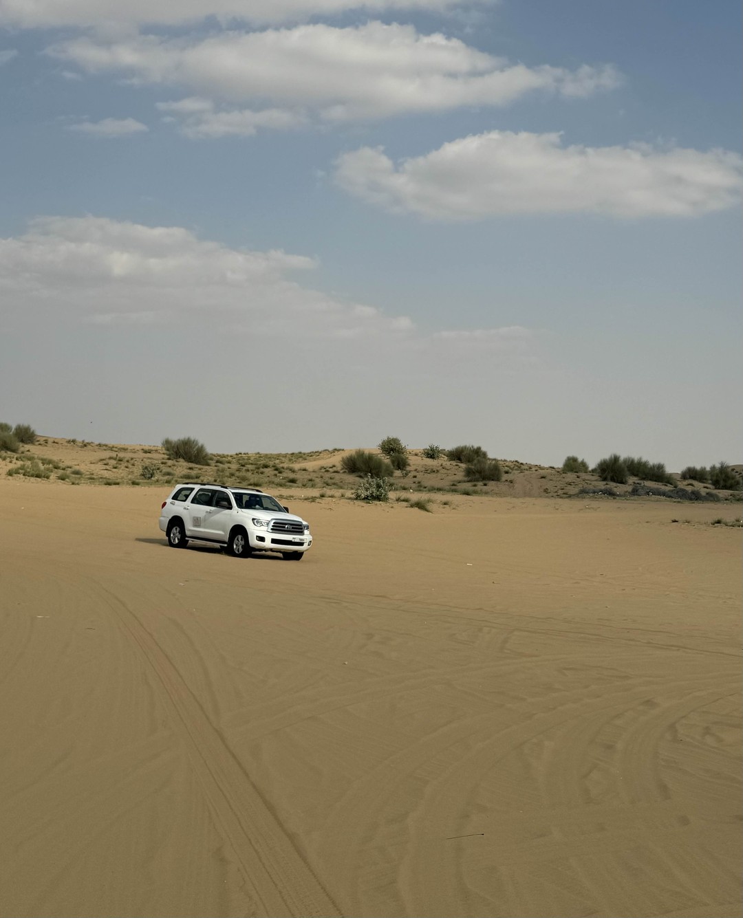 Индивидуальное сафари по дубайским дюнам (kolesnyk)