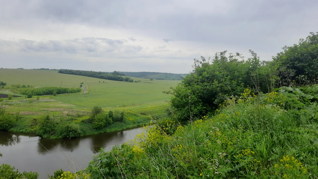Всё просто отлично 👌