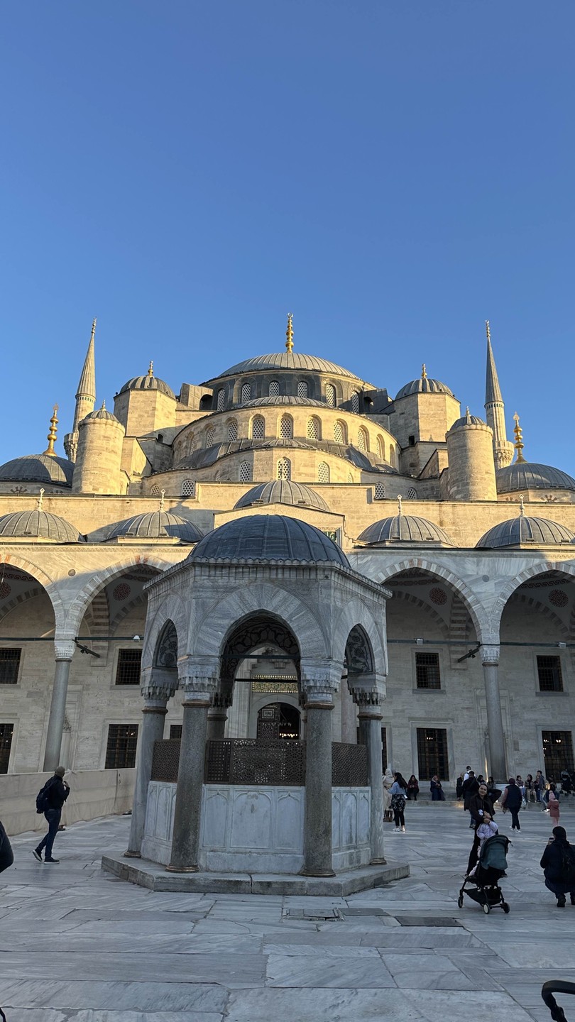 В сердце Стамбула с профессиональным гидом (Елизавета)