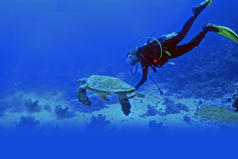 Дайвинг в бухтах Кемера - из Белека