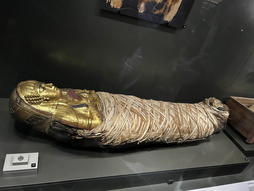 Экскурсию бронировала еще в России. Организатор Руби очень внимательная, все объяснила, ответила на все вопросы. Поездка