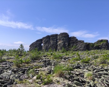 На плато к скальным столбам через кедровый лес