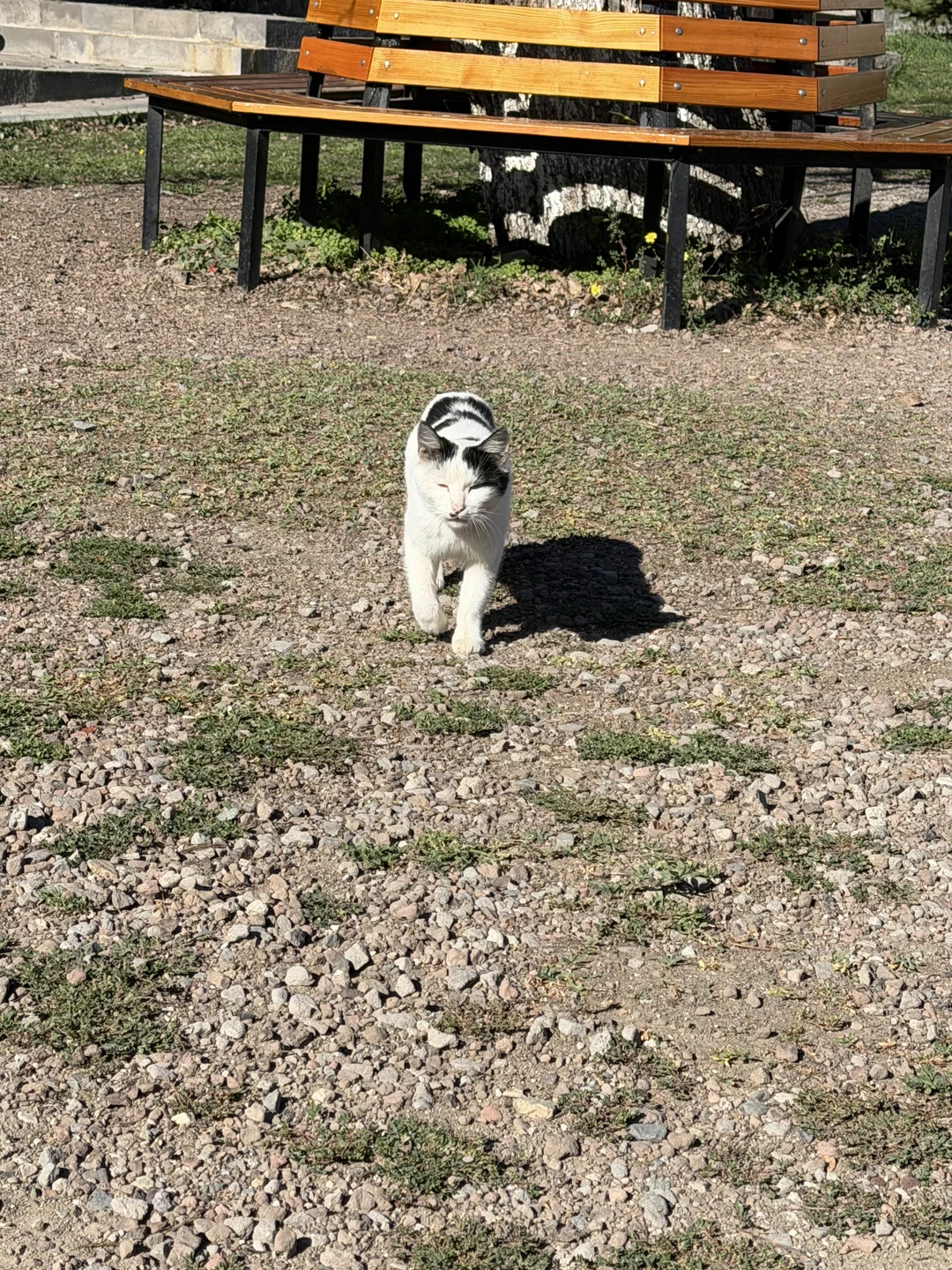 Гид Асмик очень интересно рассказала обо всех местах, по этом не навязчиво и комфортно