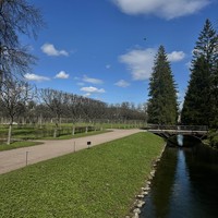 Фото отзыва 1: экскурсия "Таинство разводных мостов (в группе)"