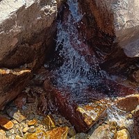 Фото отзыва 6: экскурсия "В гости к Саянам!"