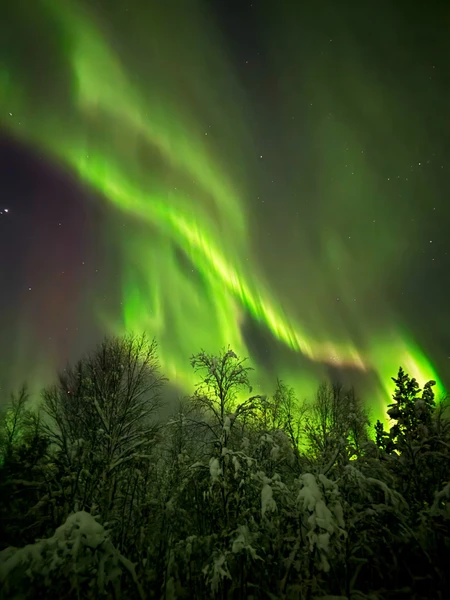 В погоню за полярным сиянием (Владлена)