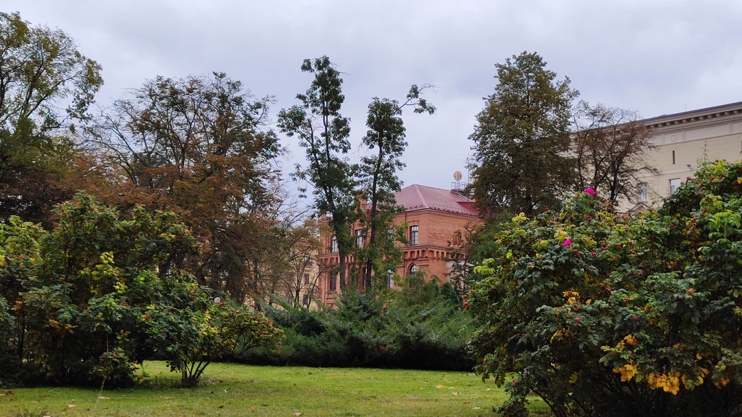 Свидание с Минском каждый день (Ольга)