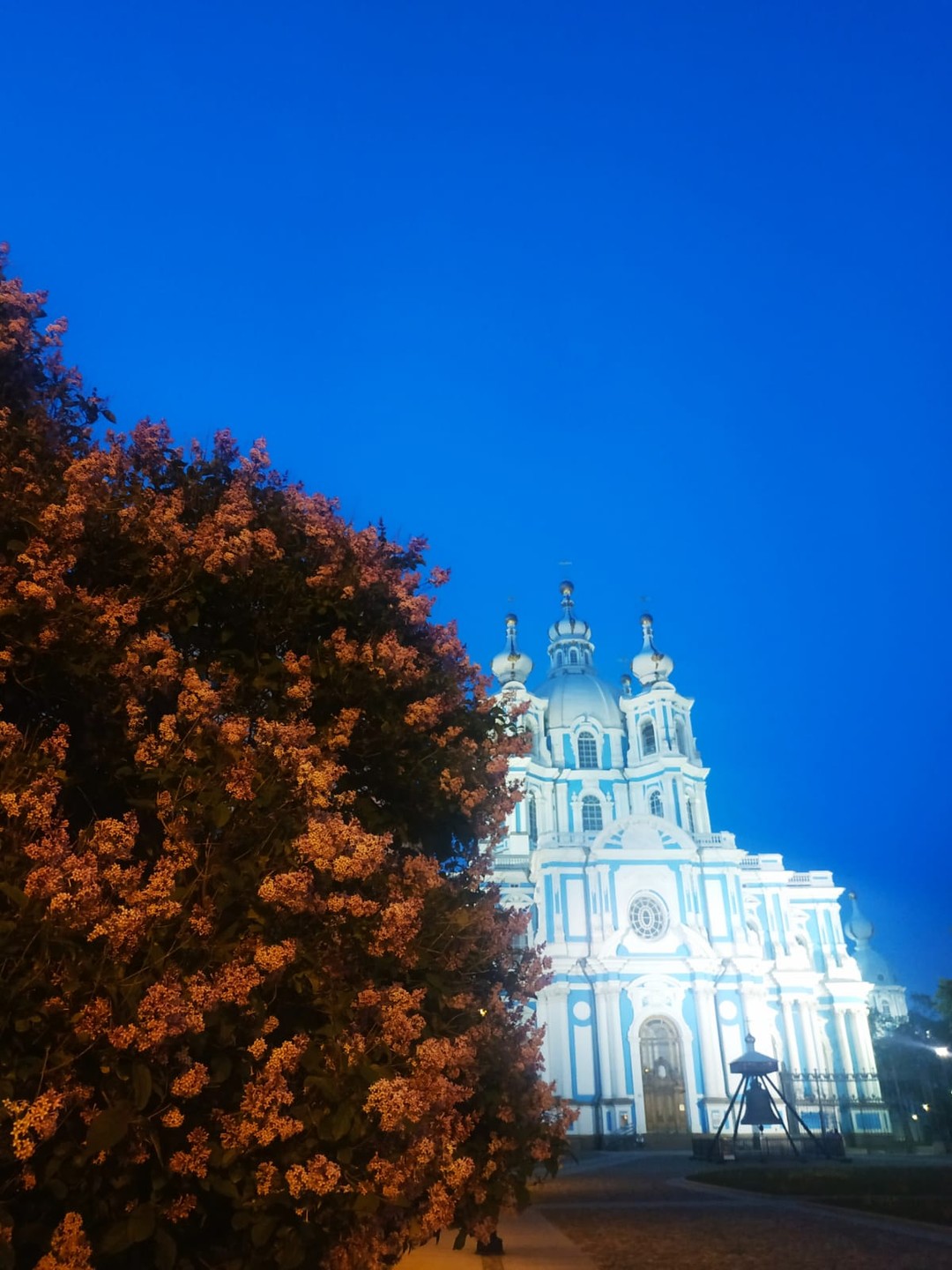 Автобусная экскурсия по ночному Петербургу + разведение мостов (Наталия)