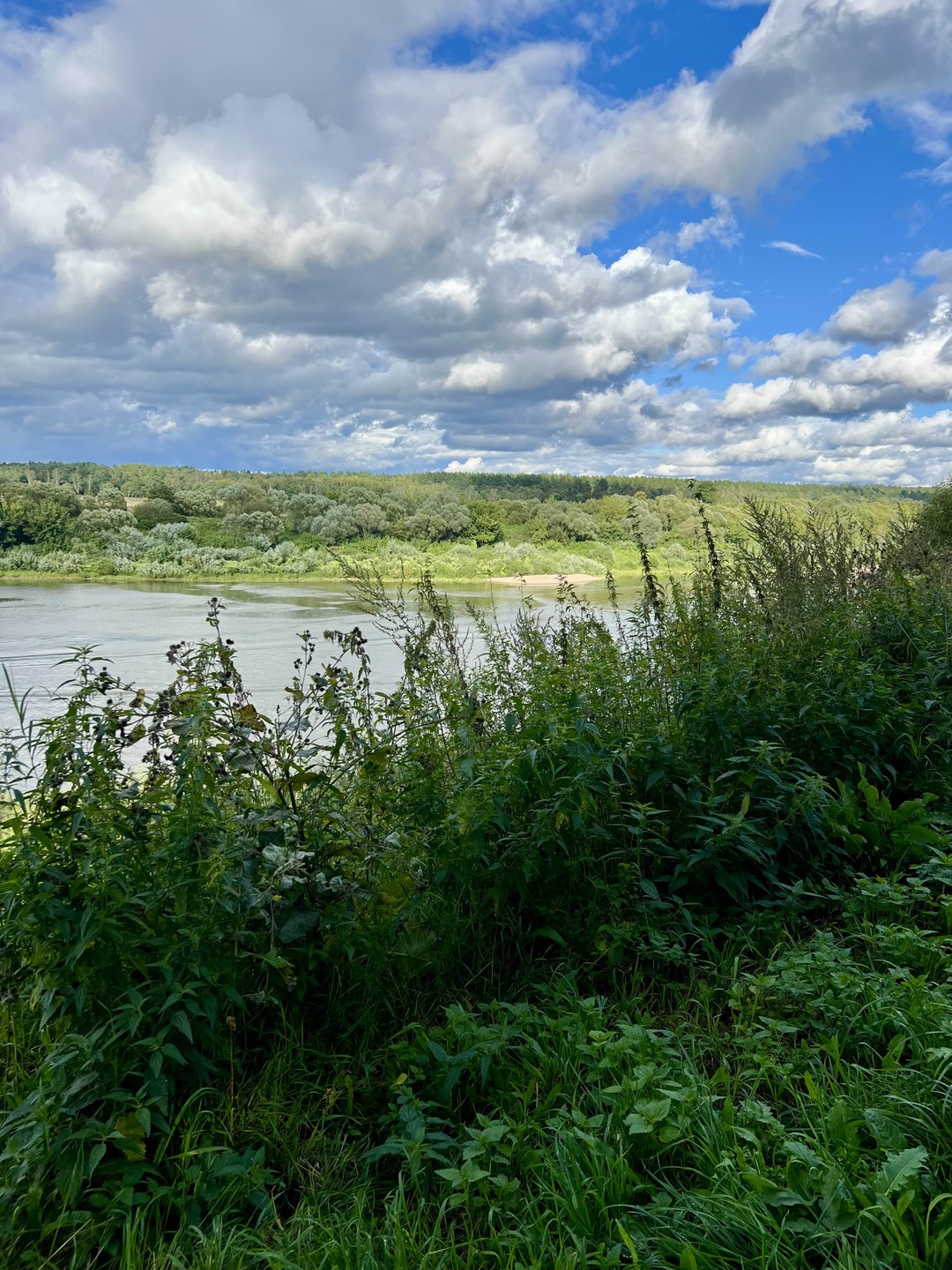 Потрясающая экскурсия, а Оксана очень увлекательный и интересный рассказчик!