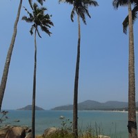 Фото отзыва 1: экскурсия "Райские пляжи Южного Гоа"