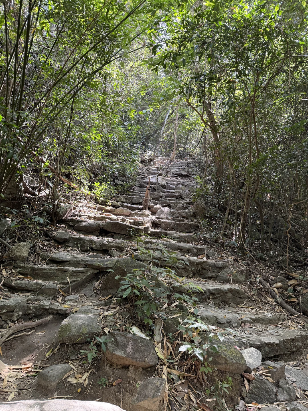 Все было супер, невероятные эмоции и воспоминания! 👍🏻👏🏻💪🏻