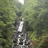 Фото отзыва 3: экскурсия "Природа, история, вкусы и дух Абхазии — из Сочи или Адлера"