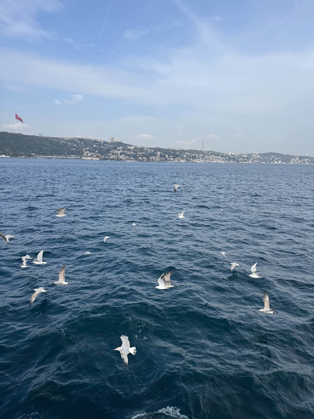 Восторг! Все очень интересно даже для меня, человека, который не любит особо историю! Я думаю Мухамед