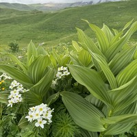 Фото отзыва 3: экскурсия "Горная Дигория: полная перезагрузка"