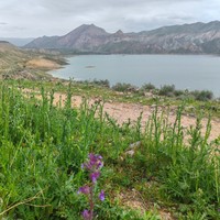 Фото отзыва 2: экскурсия "Сап-прогулка на Азатском водохранилище"
