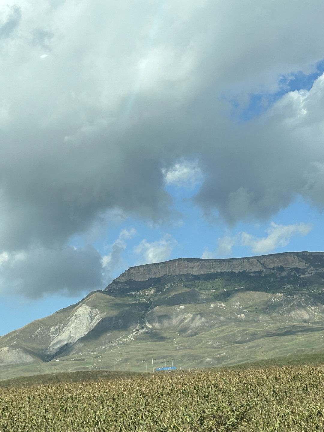 Интересная экскурсия! Максим прекрасный рассказчик, с красивым низким голосом. Поездка прошла легко, благодаря эрудированности, глубоким знаниям