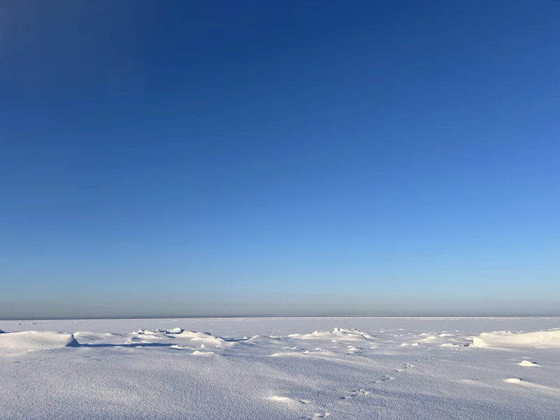 Были в конце января 2026.