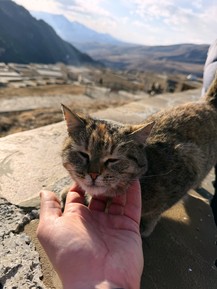 Фото отзыва 2: экскурсия "Главные места Чечни за 1 день (в мини-группе)"