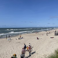 Фото отзыва 3: экскурсия "Утренняя Куршская коса, Зеленоградск и замок Нессельбек на автобусе"