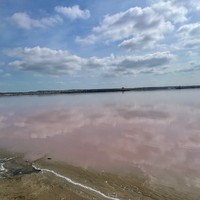 Фото отзыва 1: экскурсия "Гора Бешбармаг, «земляная радуга», розовое озеро и дегустация икры (обед включён)"