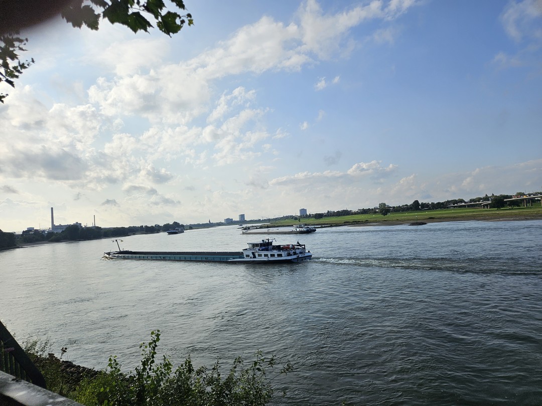 Нам понравилась экскурсия и прогулка по городу 🤗 спасибо нашему гидуТатьяне ❤️ было занимательно, легко и весело!