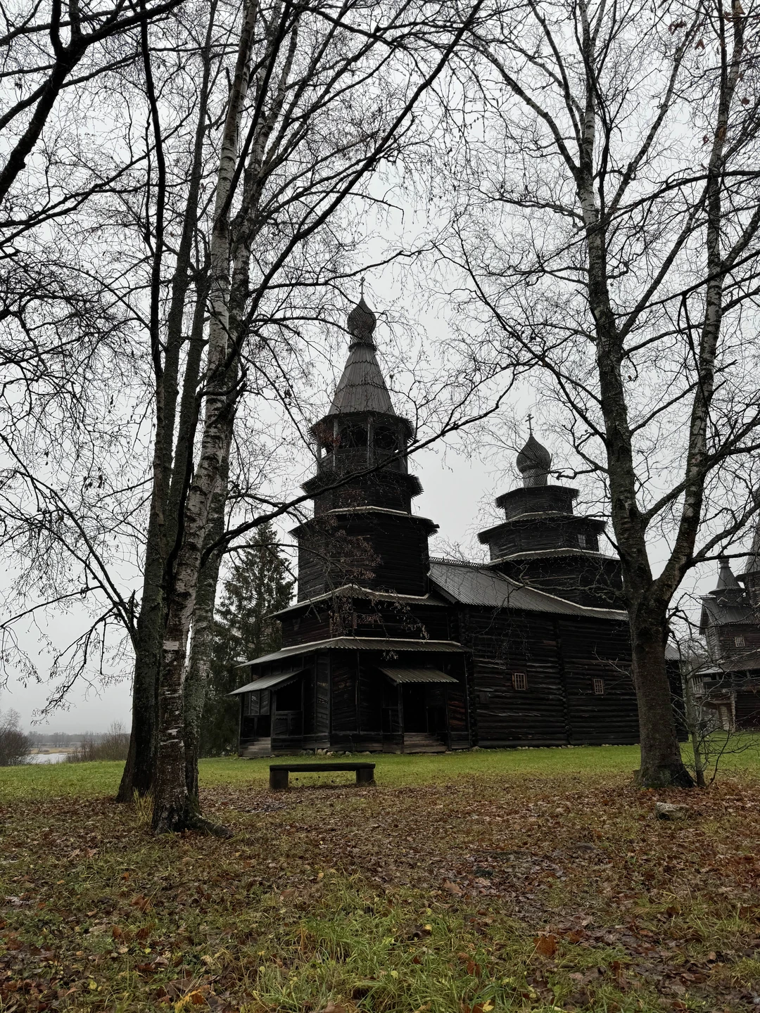 Хорошая экскурсия, но как-то суховато что ли и слишком все быстро. В Витославлицах было мало времени