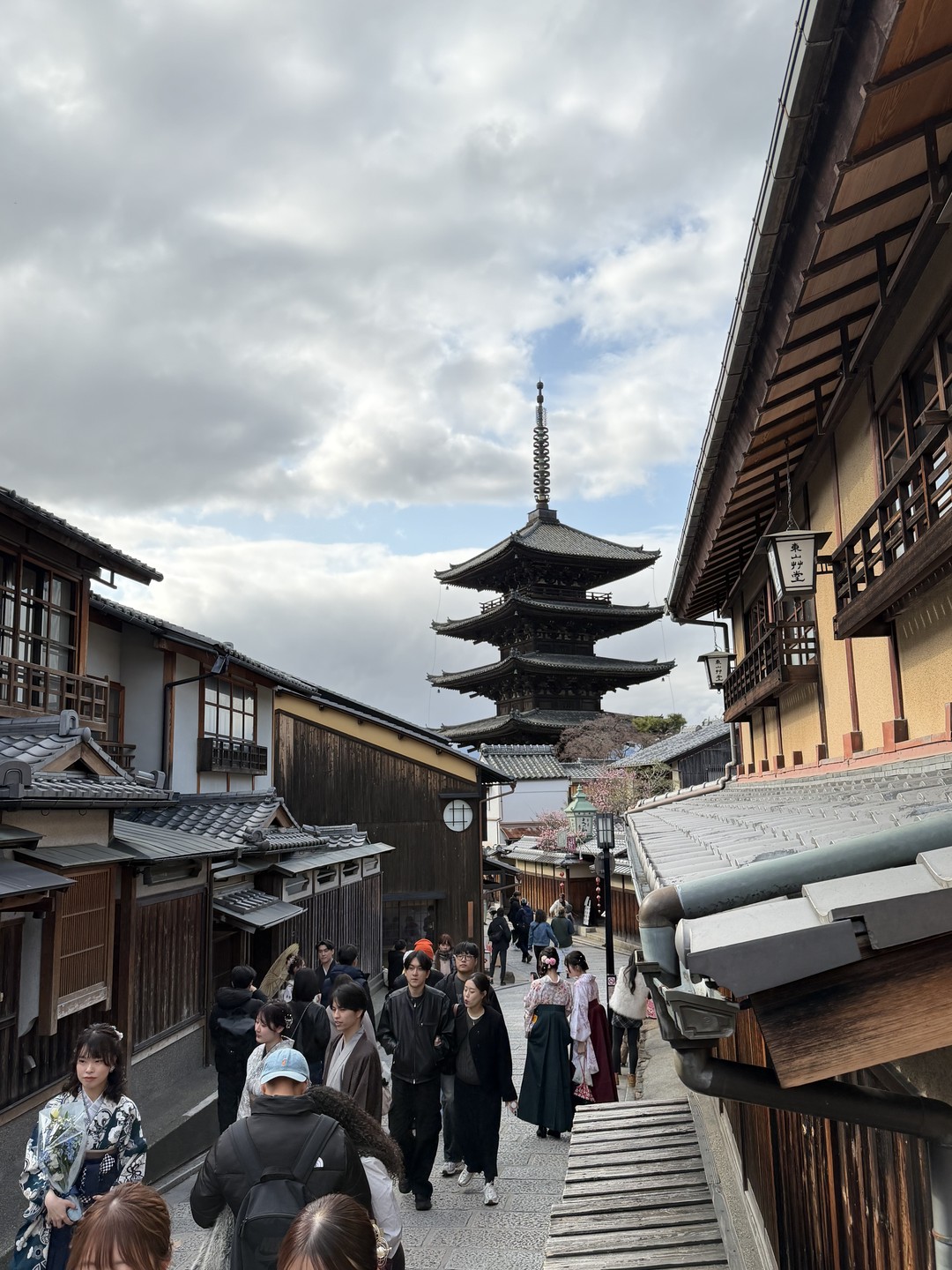 Очень понравилась экскурсия, считаю соотношение цена-качество идеальным для первого знакомства с Киото. Посмотрели все намеченное в