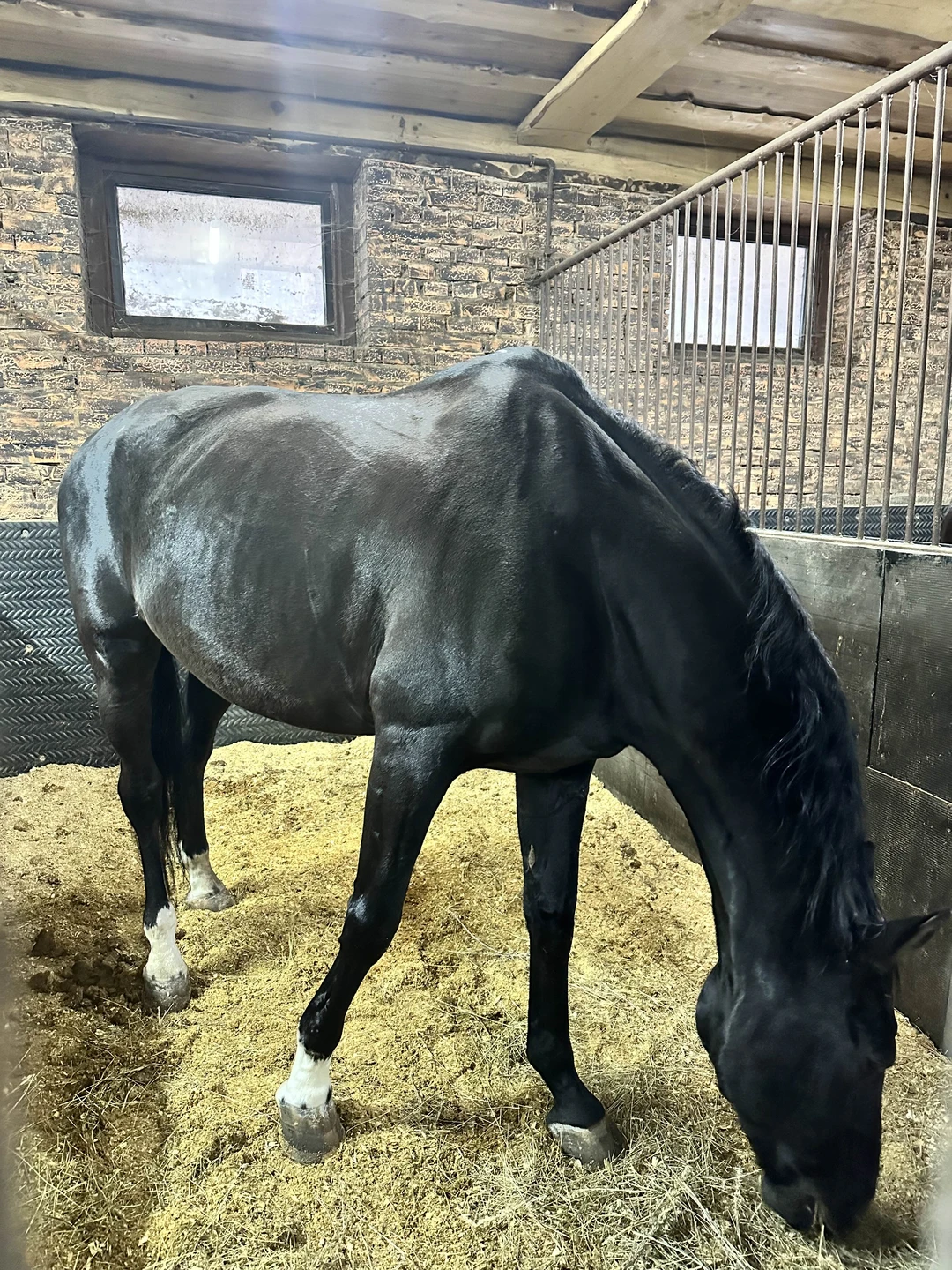 Здравствуйте! Сегодня была на экскурсии, все очень понравилось 😊