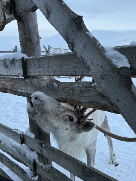 Очень хорошая организация,несмотря на погодные условия,смогли добраться и увидеть всю красоту,уникальное место 😍